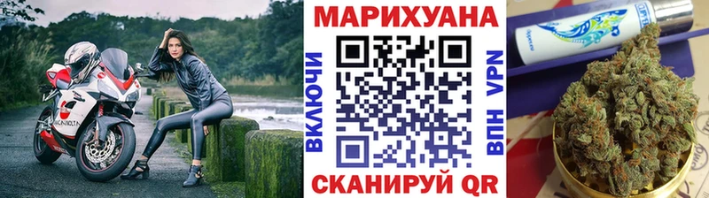 Конопля Amnesia Тарко-Сале